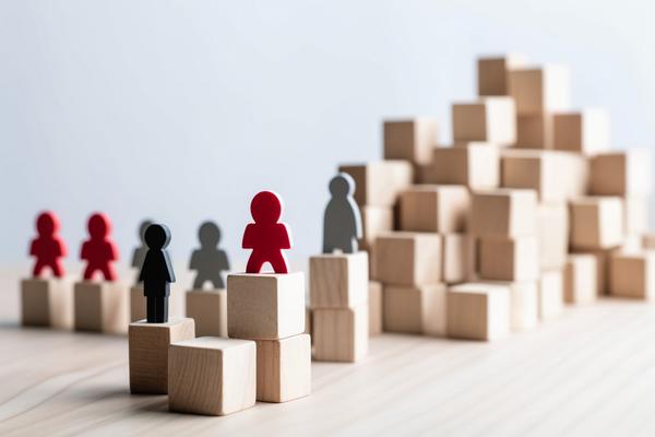 大四学生是否适合考取人力资源管理师：职业规划与考试策略分析 图1