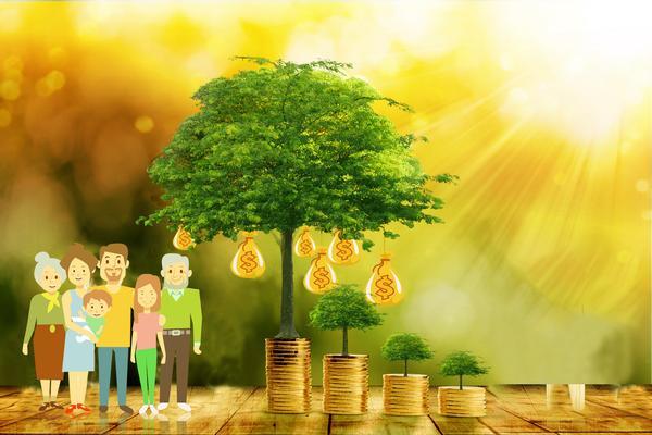 家庭债务危机|父母能否贷款：解决儿子欠款的路径解析 图1