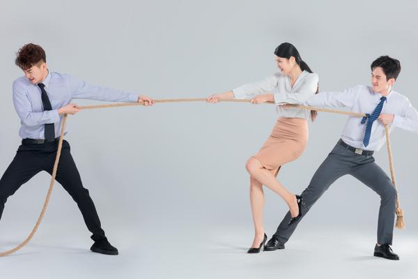 电子商务市场调研报告：以京东为例 图1