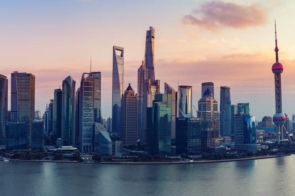 《市场需求大的树种：未来林业发展的潜力所在》图1