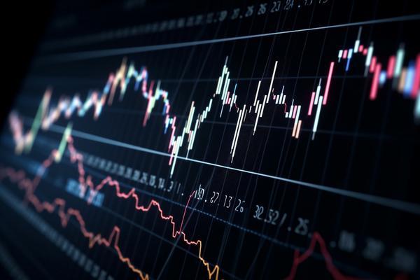 中国宠物丢失市场现状调研报告总结