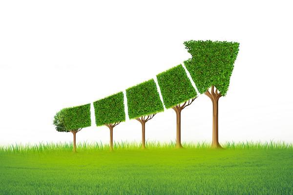 烘干原木市场需求探究：原木家具与环保理念的完美结合 图2