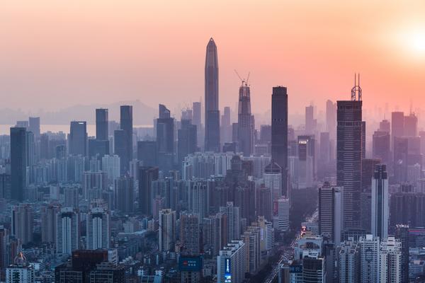 豪猪养殖商业计划书|现代农业投资指南 图2