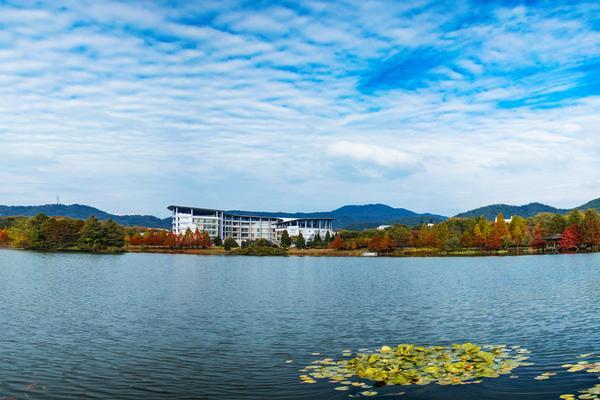 免费大学生商业计划书PPT：助力未来之星的成长与成功 图2