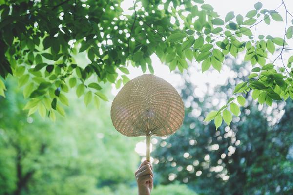 旅游市场调研：全面解析旅游资源、客源及市场趋势图1
