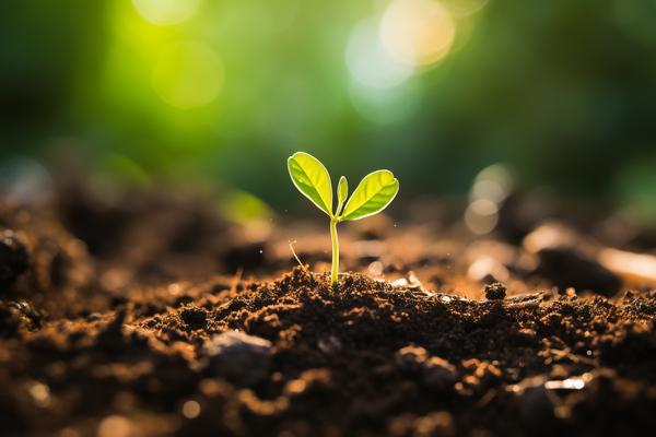 植物种植行业竞争分析报告 图2