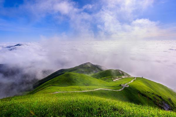 创新旅游管理商家：旅游业的未来发展趋势与实践探索 图2