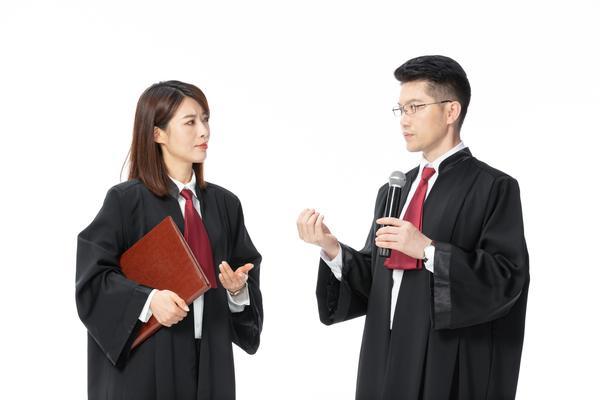 律师事务所市场需求与项目融资发展的结合分析 图1