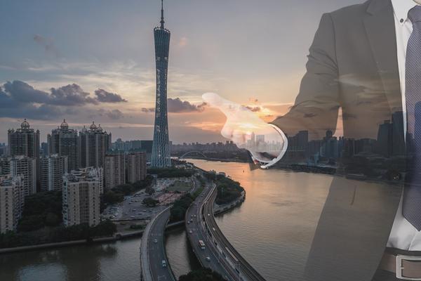保险公司行业竞争对手分析：挑战与应对策略