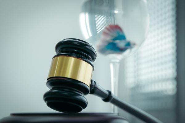 律师行业企业竞争者分析：探索行业竞争格局及发展潜力图1