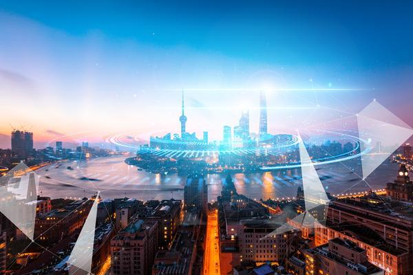 藏香猪行业竞争分析|项目融资视角下的市场机遇与挑战 图1
