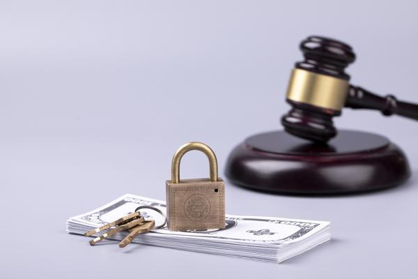 近期国内外商业模式创新与项目融资案例分析 图1