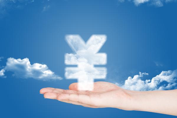 婷美内衣营销活动策划：基于项目融资的专业视角 图2
